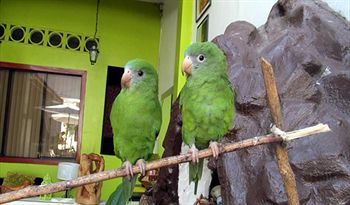 Imagen de la habitación del Hotel La Casona, Iquitos. Foto 7