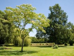 Imagen general del Hotel La Caussade. Foto 6