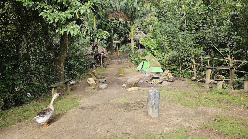 Imagen general del Hotel La Cima Tayrona. Foto 6
