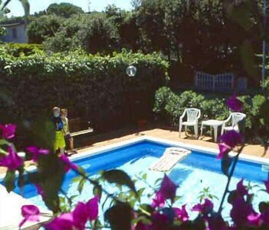 Imagen de la piscina del Hotel La Coccinella. Foto 35