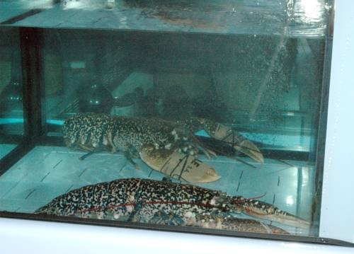 Imagen general del Hotel La Codorniz. Foto 3