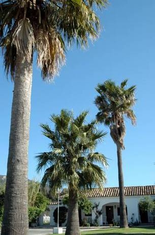 Imagen general del Hotel La Codorniz. Foto 13