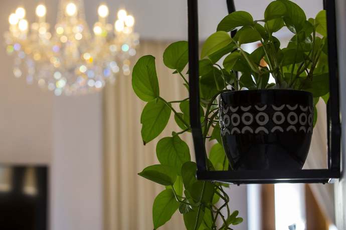 Imagen de la habitación del Hotel La Concordia Boutique. Foto 9