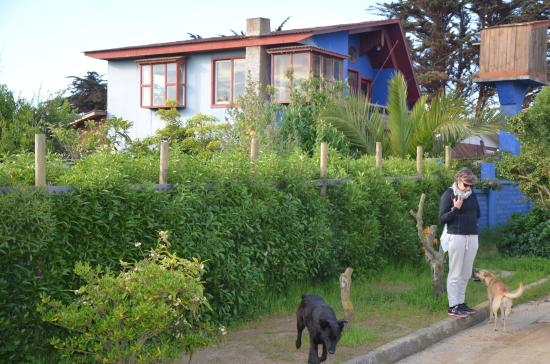 Imagen de los interiores del Hotel La Conexion del Poeta. Foto 7