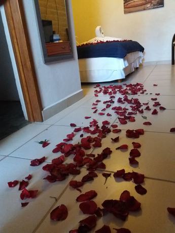 Imagen de la habitación del Hotel La Conspiraci&oacute;n. Foto 10