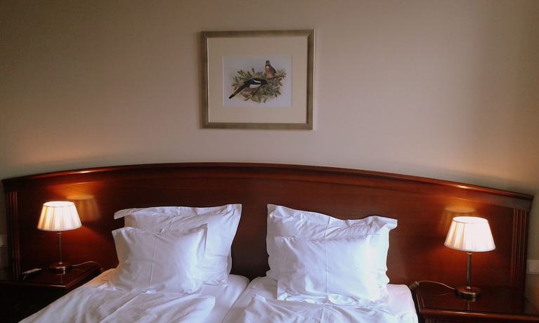 Imagen de la habitación del Hotel La Contessa Castle. Foto 2