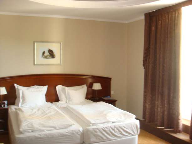 Imagen de la habitación del Hotel La Contessa Castle. Foto 12