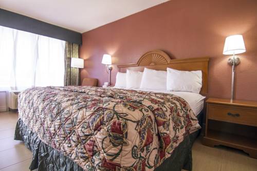 Imagen de la habitación del Hotel La Copa. Foto 3