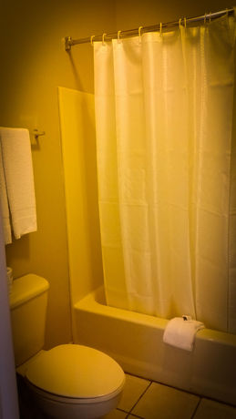 Imagen de la habitación del Hotel La Copa Inn Brownsville. Foto 9