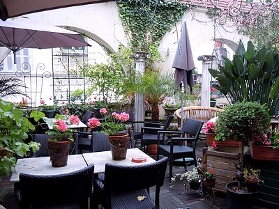 Imagen general del Hotel La Croix Blanche, MONTRICHARD. Foto 5