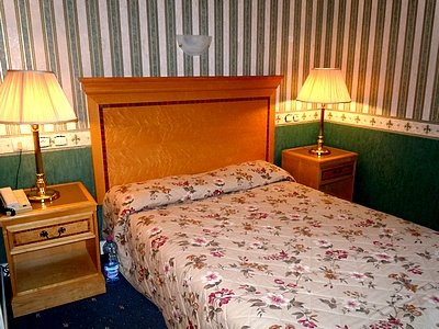 Imagen general del Hotel La Croix Blanche, MONTRICHARD. Foto 12