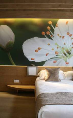 Imagen de la habitación del Hotel La Croix De Savoie and Spa. Foto 16