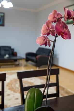 Imagen de la habitación del Hotel La Defense Yerevan. Foto 10