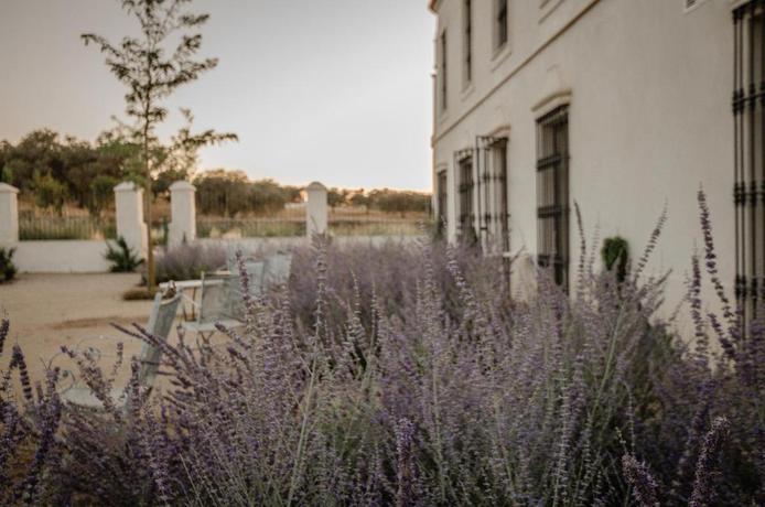 Imagen de los exteriores del Hotel La Dehesa de Don Pedro. Foto 12