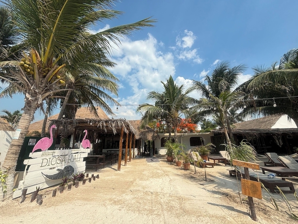 Imagen general del Hotel La Diosa Kali Beach Front. Foto 1