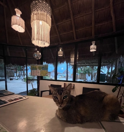 Imagen de los interiores del Hotel La Diosa Kali Beach Front. Foto 16