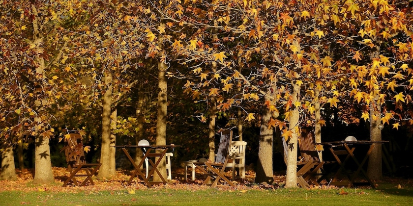 Imagen de los exteriores del Hotel La Ermita De Deva. Foto 17