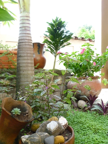 Imagen de los exteriores del Hotel La Escalinata. Foto 9