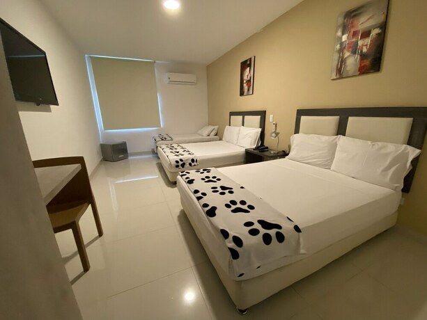 Imagen de la habitación del Hotel La Esperanza Ciudad Jardin. Foto 23