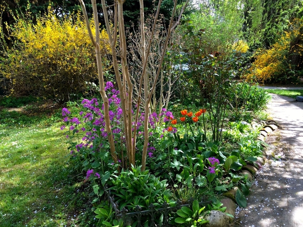 Imagen de los exteriores del Hotel La Ferme De Thoudiere. Foto 16