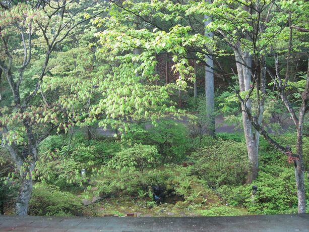 Imagen general del Hotel La Forest De Nome Karuizawa. Foto 9