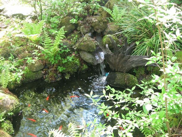 Imagen general del Hotel La Forest De Nome Karuizawa. Foto 10
