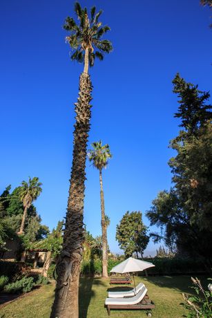 Imagen de los interiores del Hotel La Gazelle D'or. Foto 11