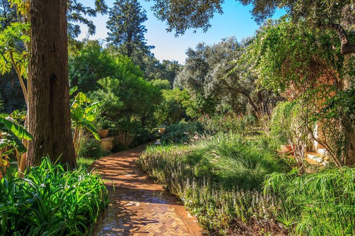 Imagen de los exteriores del Hotel La Gazelle D'or. Foto 8