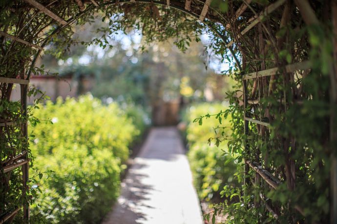 Imagen de los interiores del Hotel La Gazelle D'or. Foto 12