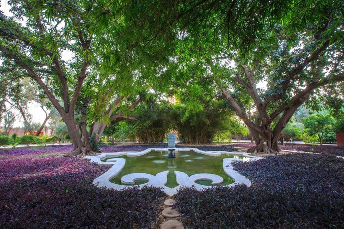 Imagen de los interiores del Hotel La Gazelle D'or. Foto 14