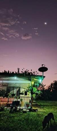 Imagen de la habitación del Hotel La Guarida. Foto 15