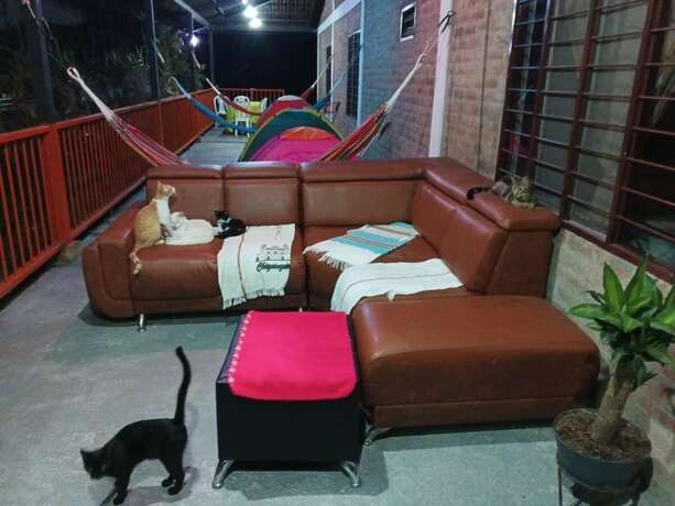 Imagen general del Hotel La Guarida. Foto 2