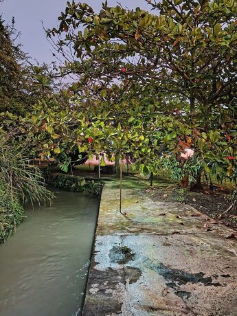 Imagen general del Hotel La Guarida. Foto 9