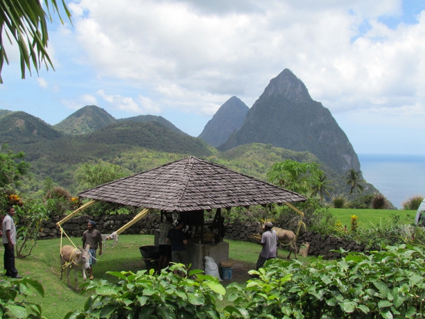 Imagen de los exteriores del Hotel La Haut Resort. Foto 14