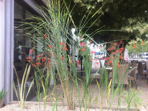 Imagen de los exteriores del Hotel La Hourquie Caf&eacute;. Foto 8