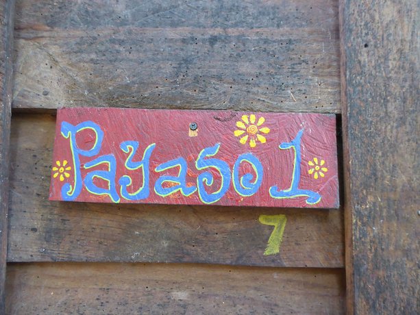 Imagen de la habitación del Hotel La Iguana Perdida - Hostel. Foto 5