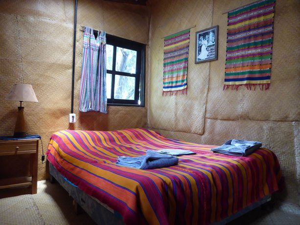 Imagen de la habitación del Hotel La Iguana Perdida - Hostel. Foto 9