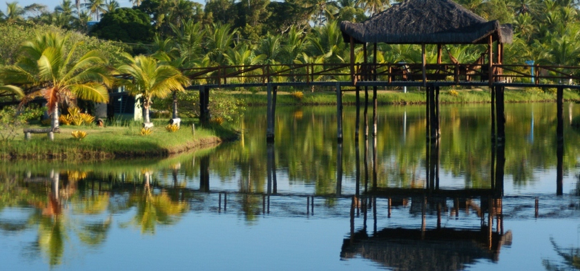 Imagen general del Hotel La Isla Ecoresort. Foto 5