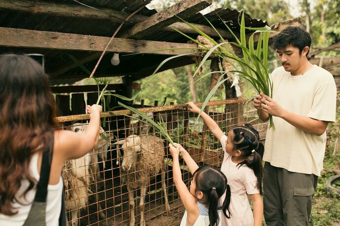 Imagen general del Hotel La Joya Farm Resort and Spa. Foto 5