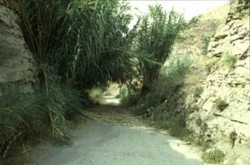 Imagen general del Hotel La Kabila. Foto 13