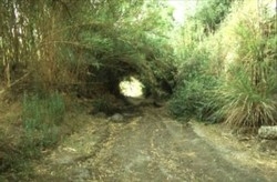 Imagen general del Hotel La Kabila. Foto 15