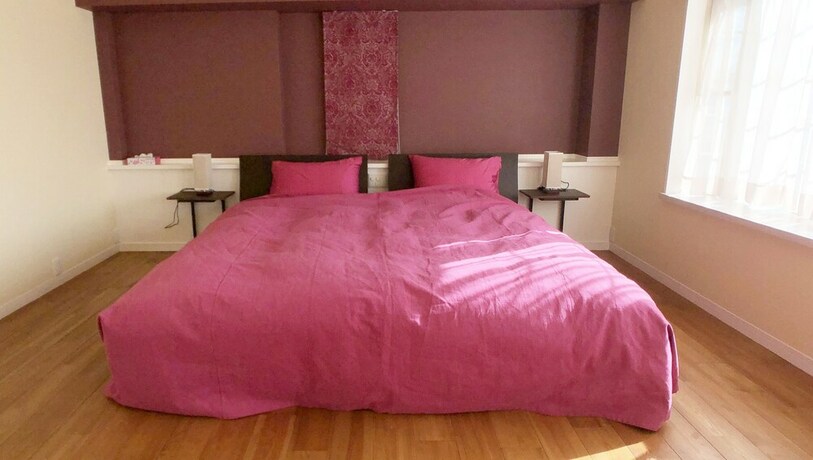 Imagen general del Hotel La Krasse Angelroad. Foto 6