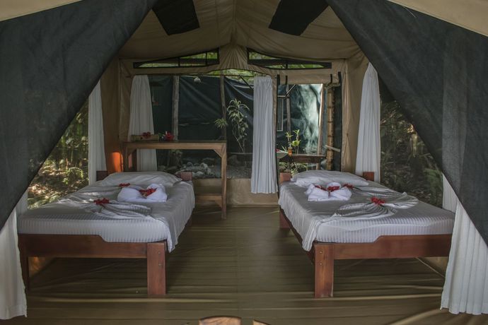 Imagen de la habitación del Hotel La Leona Eco Lodge. Foto 4