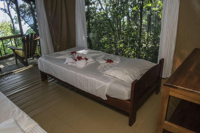 Imagen de la habitación del Hotel La Leona Eco Lodge. Foto 6