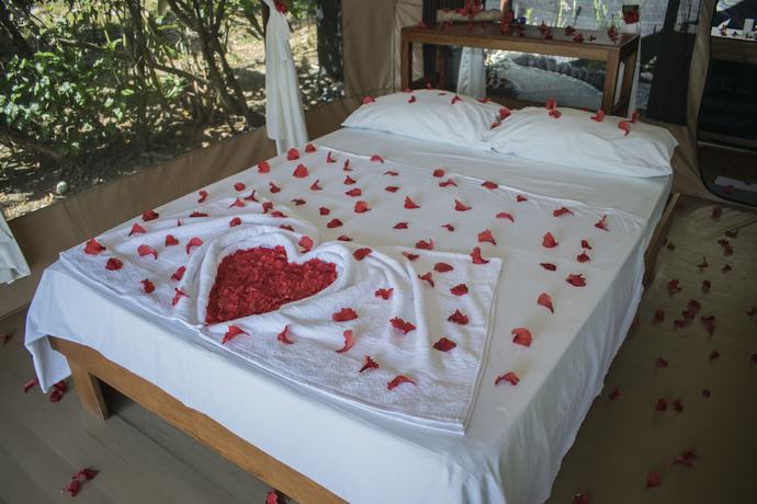 Imagen de la habitación del Hotel La Leona Eco Lodge. Foto 18