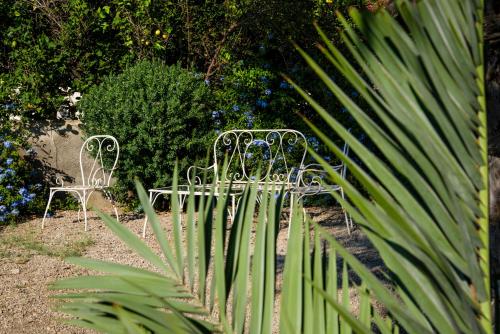 Imagen general del Hotel La Locanda Del Postino. Foto 4