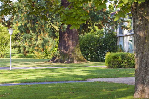 Imagen de la habitación del Hotel La Longeraie. Foto 5