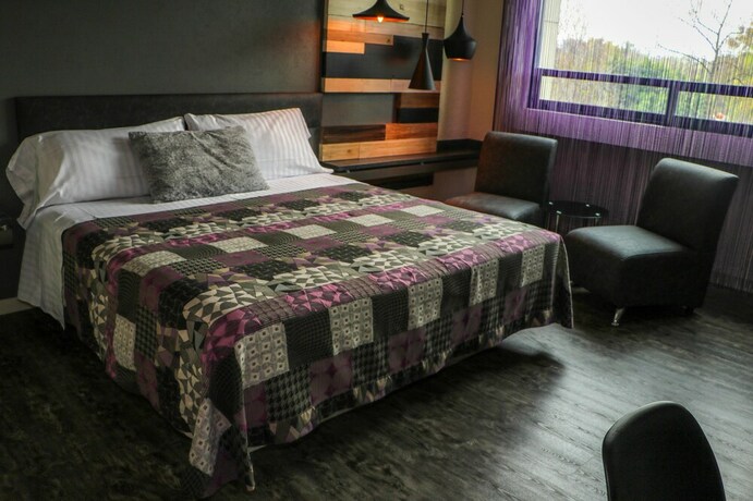 Imagen de la habitación del Hotel La Luna, Ciudad de M&eacute;xico. Foto 22