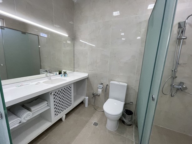 Imagen de la habitación del Hotel La Maison Blanche Baku. Foto 13