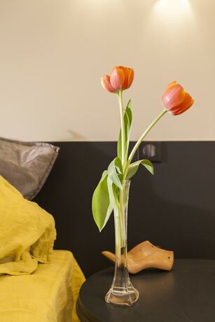 Imagen general del Hotel La Maison Volver. Foto 7